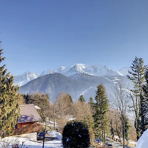 Appartement Mont Alt, F2 40m2 En Rdc, Calme, Vue Mt Blanc, Passy (Haute-Savoie)